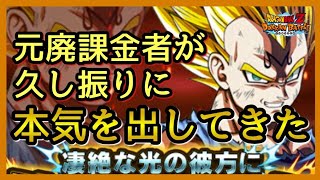 ドッカンバトル 攻略 雑談 極限zバトル魔人ベジータ ドッカン大乱戦 Dragon Ball Z Dokkan Battle ドッカンバトル 攻略動画まとめ ドラゴンボール超