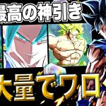 ガチで嫉妬注意！LF身勝手を求めて追いガシャしたら神引き過ぎるｗ【ドラゴンボールレジェンズ】【DRAGONBALL LEGENDS】