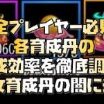 【放置少女】全プレイヤー必見！ 各育成丹の育成効率を徹底調査！ 仙女育成丹の闇に迫る 何%からどの育成丹を使えばいい？