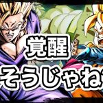 新キャラブロリー実装で覚醒説出てきた！！