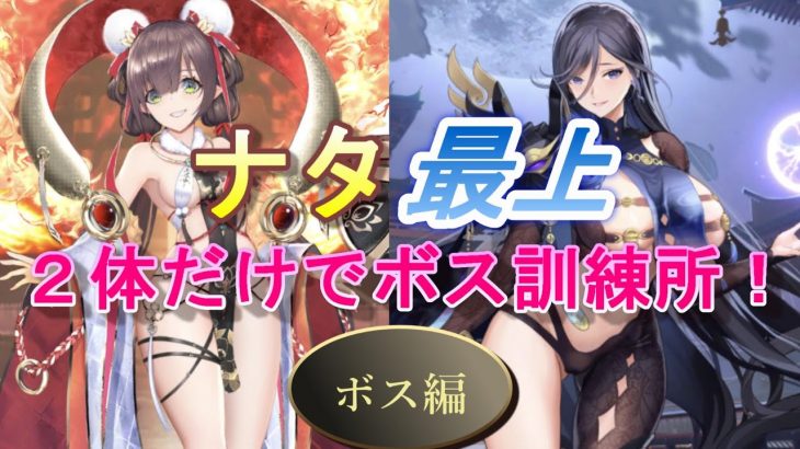 【放置少女】ナタ最上の2体だけでボス・訓練所やってみた！(ボス編)
