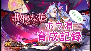 [ブログ用]ホウ涓育成記録：混沌装備を作る【放置少女】