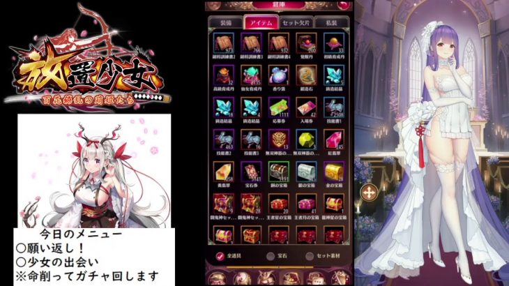 【放置少女】願い返しと混沌装備！【にわかプレーヤー】