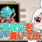 【放置少女】ほぼ育成カンスト状態の公孫サンに仙女育成丹を限界まで貢いでみました