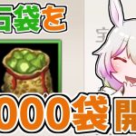 【放置少女】宝石袋を1,000個開封して出てくる宝石を確認してみました