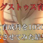 【放置少女】アウグストゥスに仙女育成丹を1050個食べさせてみた#放置少女