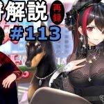 【放置少女副将解説#113】袁術【デフ】