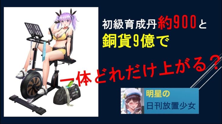 明星の「日刊放置少女」 11/23 ～新MR浅井長政C級育成！火曜日更新情報花嫁衣裳遂に3週目の再販開始！！～