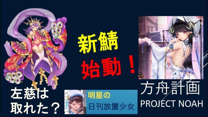 明星の「日刊放置少女」11/7