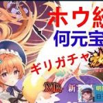明星の「日刊放置少女」 12/17  ～ホウ統間に合わなかったけど ガチャやってみた。結果は、、、何元宝？～