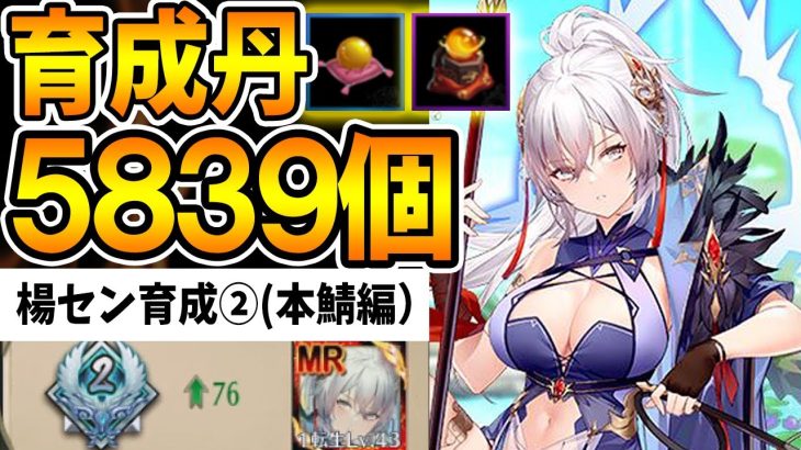 【放置少女】MR楊センに育成丹5839個を一気に早食いさせてみた（本鯖編）