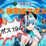 放置少女 ボス194突破 王貴人微育成