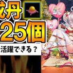 【放置少女】UR閃馬良ちゃんに育成丹3125&覚醒5させたりしたら現闘技場で活躍可能か挑んでみた結果