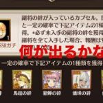 放置少女思い出SSRガチャしてみた結果？