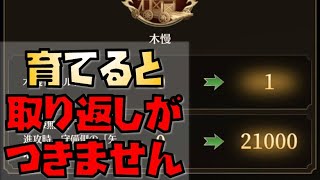 【放置少女】育てると取り返しのつかないことになるかもしれません 城作りの工房・木慢について解説します 戦姫無双には必須です