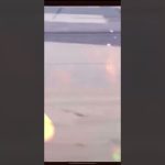 【放置少女】久しぶりに、董白単騎特化に新しい仲間‪w商鞅ガチャ！