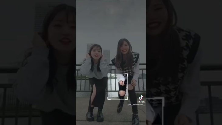 四角の取り合い#ad#放置少女#ため撮り#コンビ#相方#whome#shorts#tiktok