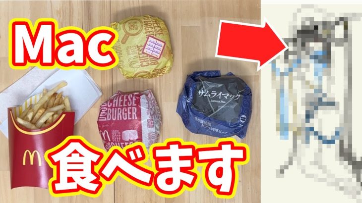 【放置少女】年に一度のマクドナルドを食べる動画。この動画は生配信３０分前に見るのがおすすめです。（スパサン回）