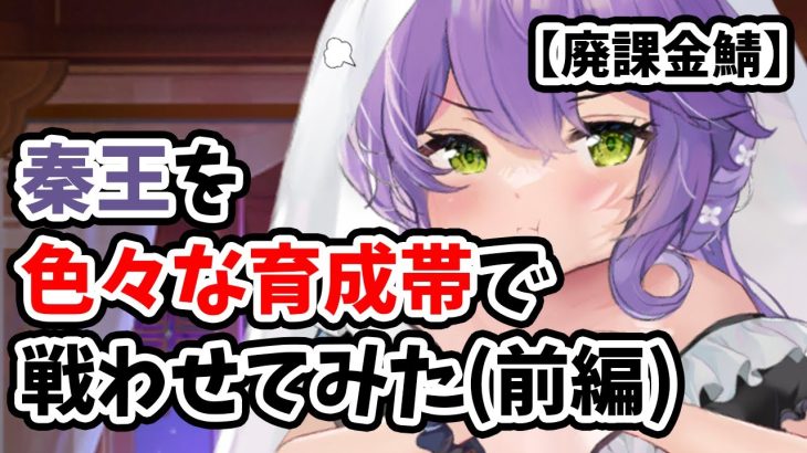 【放置少女】秦王の様々な課金帯での戦闘を検証。果たしてどのランク帯でも強い子なのか？（前編）