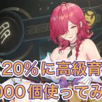 【放置少女】李斯育成20%から高級育成丹1000個使ってみた