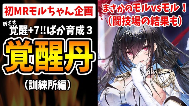 【放置少女】低レベルのMRモルドレッドで脳筋プレイ（訓練所編）