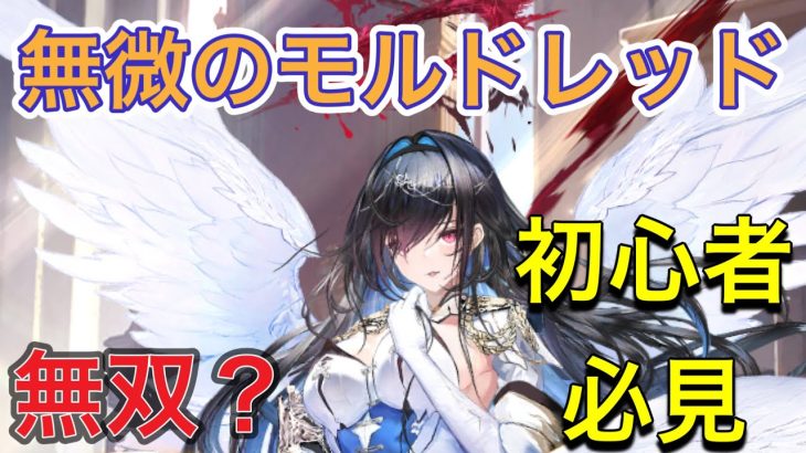 【放置少女】無微のモルドレッドは強いのか？戦力倍との対戦