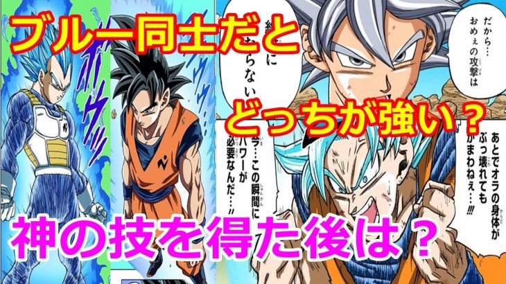 ドラゴンボール超の最新話でスーパーサイヤ人ブルー悟空とベジータはどっちが強い 身勝手の極意や破壊神の技は抜き ドラゴンボール アニメ漫画動画まとめ