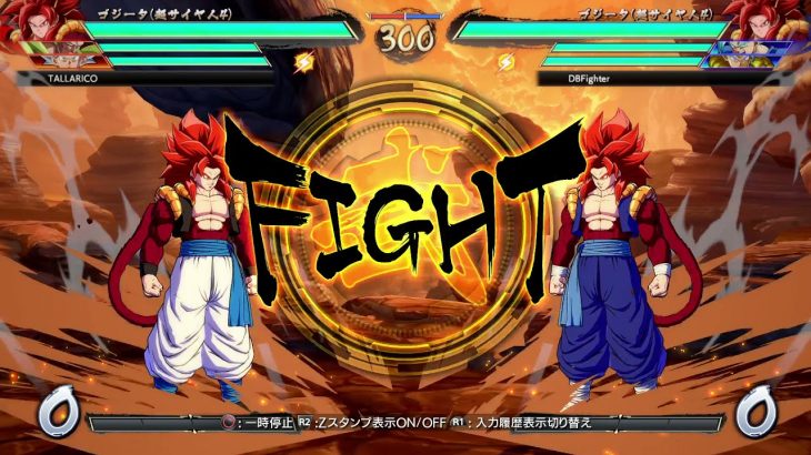 ドラゴンボール ファイターズ　最強Wゴジータ×ベジット　究極のチーム