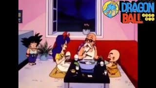 アニメ ドラゴンボール第16話⑦「修行・石さがし」
