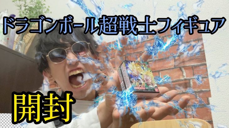 元駄菓子屋店員がドラゴンボール超戦士フィギュア5を開封！
