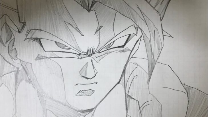 ゴジータ「俺は貴様を倒すものだ！」(ドラゴンボールパラパラ漫画)