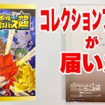 キャンペーン限定 コレクションファイル ドラゴンボール 超戦士シールウエハース超 奇跡のフュージョン 開封 Dragonball Chousenshi Seal Wafers Super2 食玩