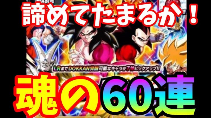 ドラゴンボール　ドッカンバトル 　俺の7周年はまだ始まってない！？フェス最大60連！