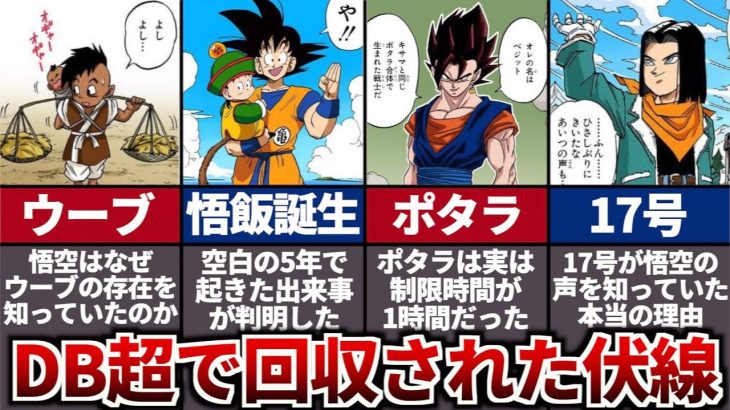 悟飯誕生の瞬間がヤバい。ドラゴンボール超で回収された伏線の全てを徹底解説