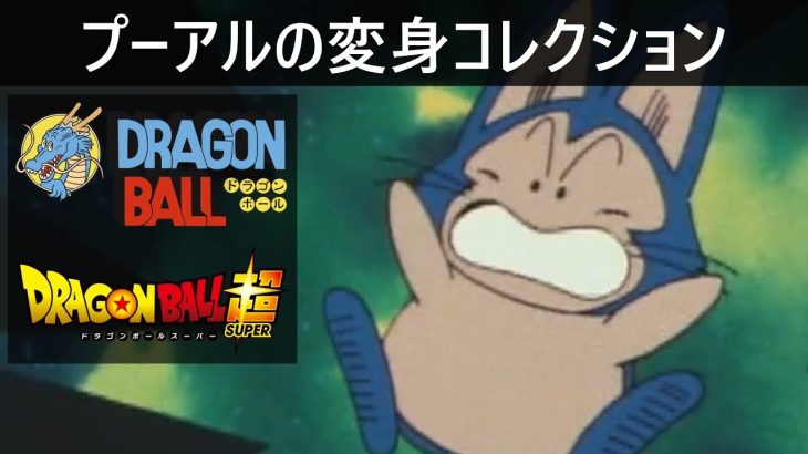 【ドラゴンボール】プーアルの変身コレクション【DRAGON BALL】