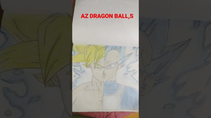 AZ dragon ball drawings
