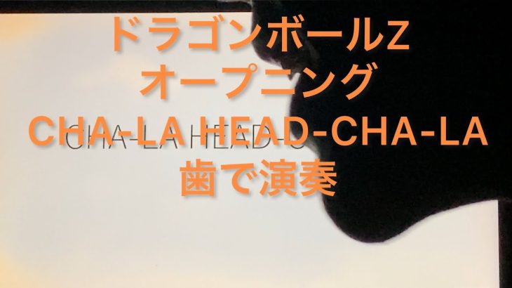 TVアニメドラゴンボールZ　オープニング　影山ヒロノブ「CHA-LA HEAD-CHA-LA」を歯で弾いてみた。　[耳コピ][歯ピアノ]