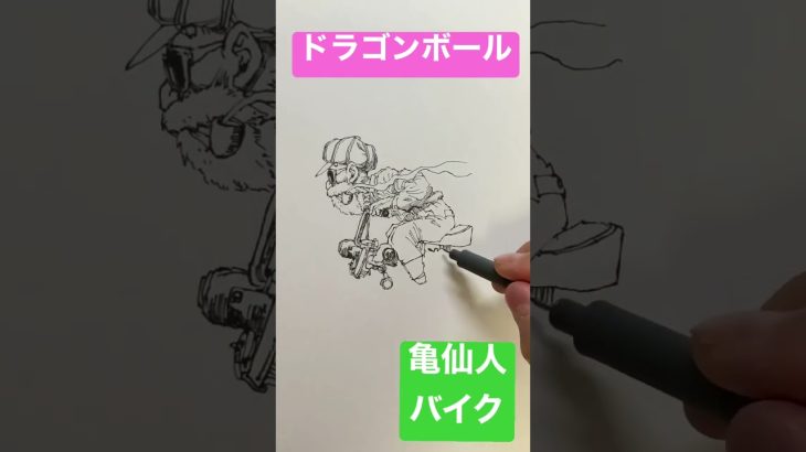 【ドラゴンボール】亀仙人を一発描きで描いてみた！Kmesennin drawing manga/anime【DRAGON BALL】