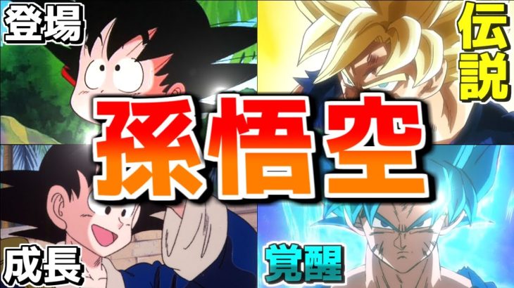 【ドラゴンボール】孫悟空を幼少期から徹底解説！身勝手の極意とは？【ゆっくり解説】