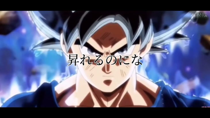 MADドラゴンボール✕かくれんぼ