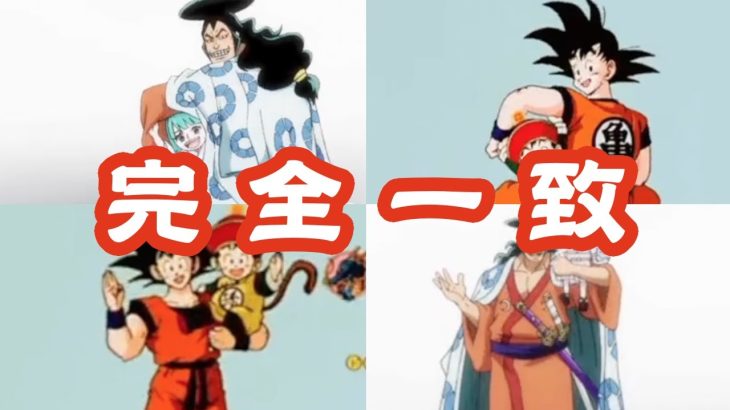 【アニメワンピース】あのシーンがドラゴンボールのオマージュと話題 第1066話「大トリ来る！波動と磁気の大技」 One Piece Dragonball episode 1066 カットイン 一致