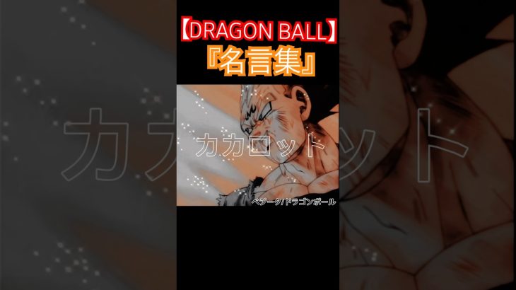 『DRAGON BALL』【名言集】 #ドラゴンボール #shorts