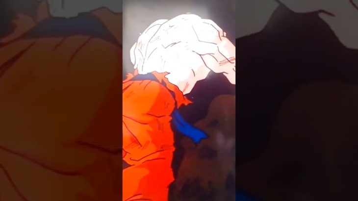 【アニメ 映画】ドラゴンボールＺ        なかなか無い悟空とチャオズの一瞬だけの絡み