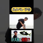 ネタバレ予告　#shorts #予告   #切り抜き #日野は息抜きがしたい #ひのちゃんねる #vlog #ドラゴンボール #ネタバレ