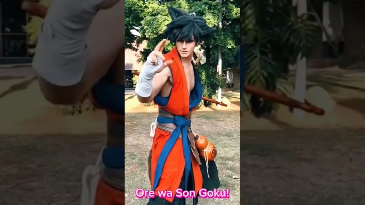 Ore wa Son Goku! (Wanna Fight!?)#ドラゴンボール #SonGoku