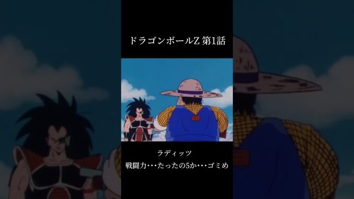 【ドラゴンボールZ】【名言】                              戦闘力･･･たったの5か･･･ゴミめ