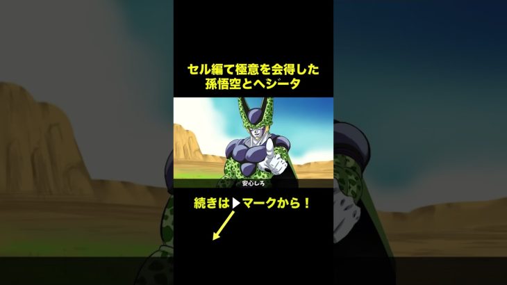 【アニメ】セル編で極意を会得した孫悟空とベジータ【ドラゴンボール】