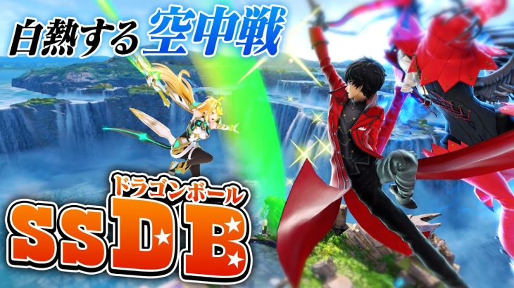 【SSDB】スマブラでドラゴンボール？激しい空中戦が楽しいSSDBに全一プレイヤーを呼んで挑戦しました