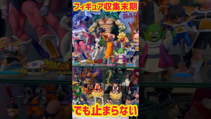 フィギュア収集の果てに　#ドラゴンボール  #shorts #Dragonball #一番くじ