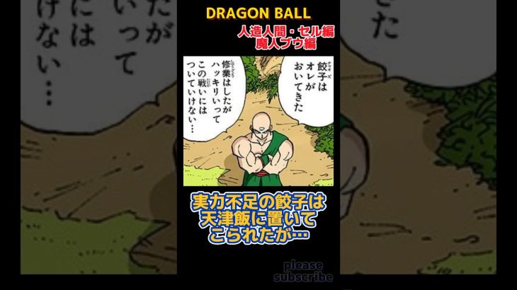 【DRAGON BALL】ドラゴンボール小ネタ PART15 餃子と〇〇は置いてきた【ドラゴンボール】